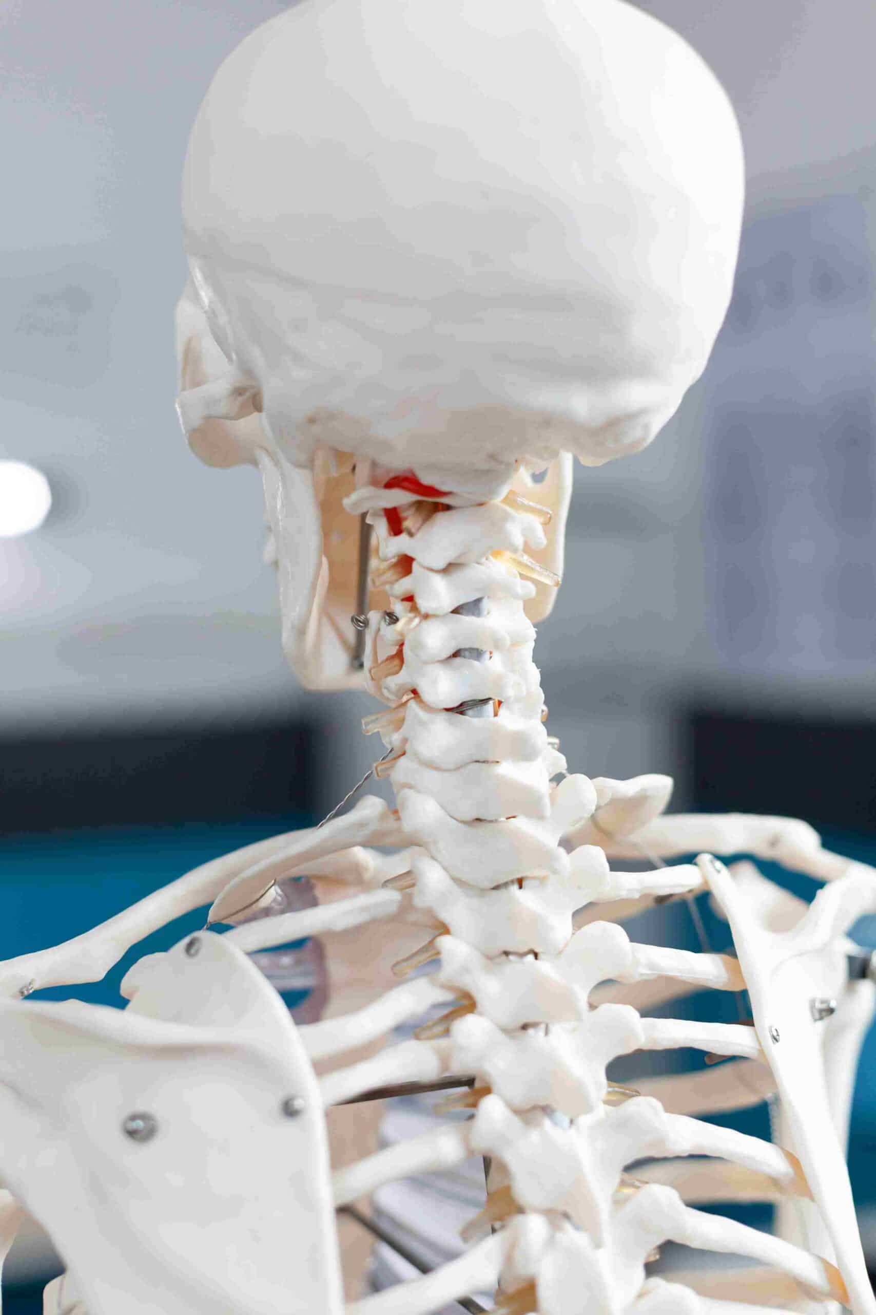 Osteopata para craneo visceral en Villalba - Osteopata Duran
